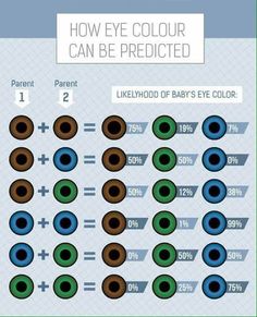 Ojos Eye Color Chart Genetics, Heterochromia Eyes, Two Different Colored Eyes, People With Blue Eyes, Eye Colours, Eye Facts, Biology Classroom, Eye Chart