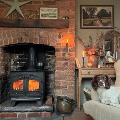 a dog sitting on a couch in front of a fireplace with a wood burning stove