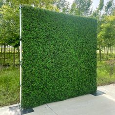 a tall green hedge is in the middle of a concrete area with trees and grass behind it