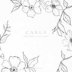 a black and white drawing of flowers with the words, hand drawn fine art illustrations