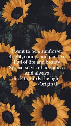 sunflowers with the quote i want to be a sunflower bright, sunny, and positive