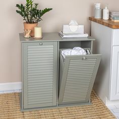 a grey cabinet with two doors open next to a potted plant and other items