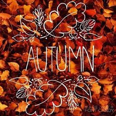 the words autumn written in white on an orange background with leaves and acorns