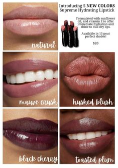 5 beautiful new *Limited Edition* colors have been added to the hydrating lipsticks Mary Kay offers! Don't wait, or it might be too late! Mary Kay Fall 2024, Mary Kay Hydrating Lipstick, Mary Kay Lipstick Colors, Mary Kay Limited Edition, Mary Kay Lipstick, Mary Kay Consultant, Hydrating Lipstick, Satin Hands