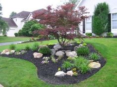 a very nice looking yard with some rocks and flowers in the grass by the house