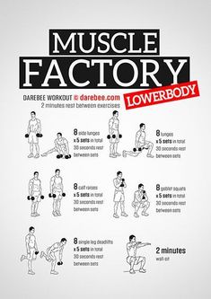 the muscle factory poster shows how to use dumbs and exercises for your body type