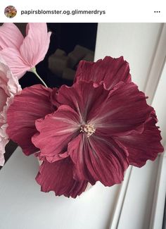 two pink flowers in a white vase on a window sill with the caption, papribonster og glimmerrays