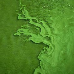 an aerial view of green water with waves and bubbles on it's surface, as seen from above