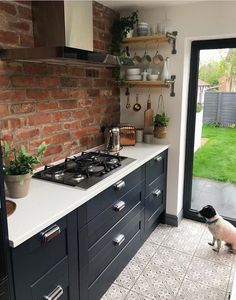 a dog is sitting on the floor in front of a kitchen counter with an oven