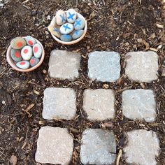 two bowls with rocks in them sitting on the ground next to some plants and dirt