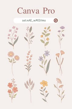 an image of flowers and plants with the words canva pro on it's side