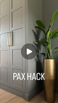 a potted plant sitting next to a gray cabinet in a room with wooden floors