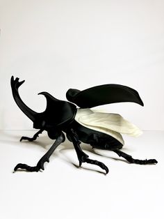 a black and white insect sitting on top of a table