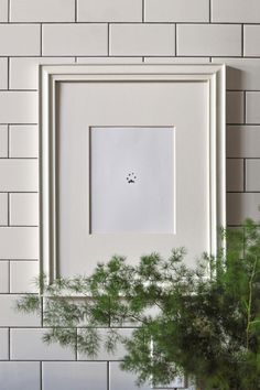 a potted plant sitting in front of a white frame on a brick wall next to a framed photo