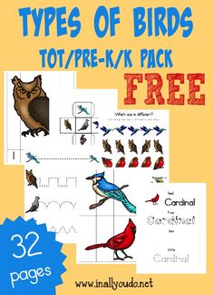 three types of birds tot / pre - k pack with free printables