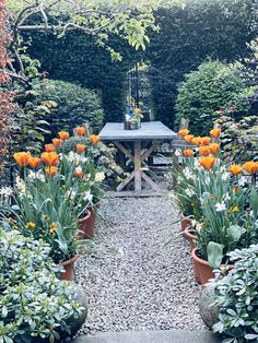 an outdoor dining table surrounded by potted plants and flowers in the middle of a gravel path