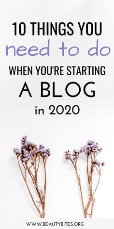 flowers with the words 10 things you should do when you're starting a blog in 2019