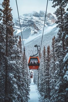 a gondola in the middle of trees with snow covered mountains in the background