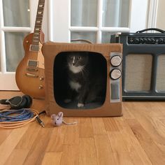 a cat sitting in a cardboard box on the floor next to an electric guitar and amp