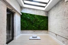 a room with a moss wall in the middle and a white rug on the floor