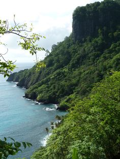 the ocean is surrounded by lush green trees and cliffs on either side, with blue water in the foreground