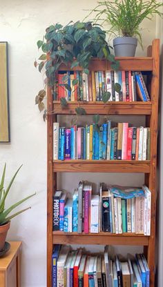 a bookshelf filled with lots of books next to a potted plant