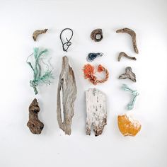 various pieces of driftwood are arranged on a white surface, including an orange piece