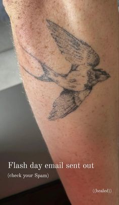 a close up of a person with a tattoo on his leg and the bird is flying in the air