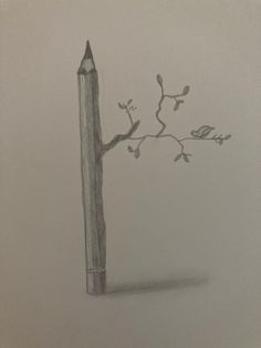 a pencil drawing of a branch with leaves and a bird perched on it