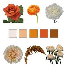 an assortment of flowers with different shades of orange