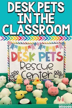 desk pets in the classroom with text overlay