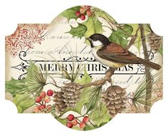 a bird sitting on top of a tree branch next to pine cones and holly berries