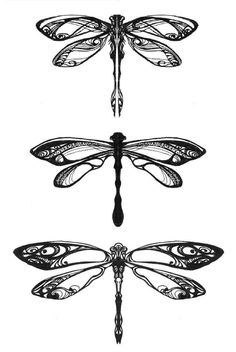 three different types of dragonflies with intricate designs on the wings and back side of their wings