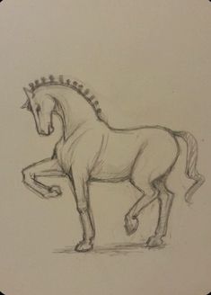 a drawing of a horse standing on its hind legs