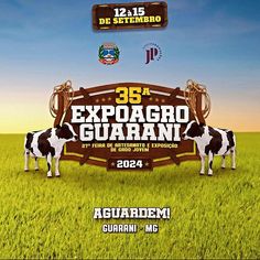 an advertisement for a farm show with two cows standing in the middle of a field