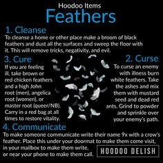 the instructions for how to use feathers