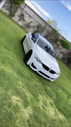 a white car parked on top of a lush green field