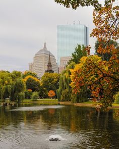 a pond in the middle of a park with trees and buildings in the back ground