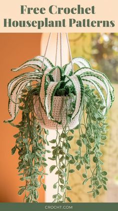 a plant hanging from the ceiling with text overlay that reads free crochet houseplant patterns