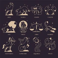 zodiac signs and their meanings on a black background