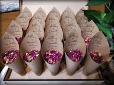 six paper cones filled with purple flowers on top of a table