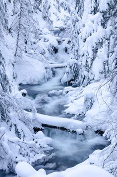 a river running through a snow covered forest