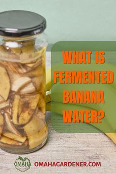 what is fermented banana water in a glass jar with bananas on the side