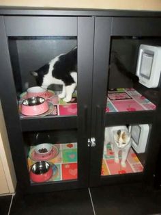 a black and white cat eating food out of a bowl on top of a cabinet