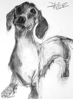 a black and white drawing of a dachshund looking up at the camera