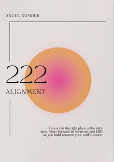 an orange and pink circle with the number 22 on it's side, in front of a white background