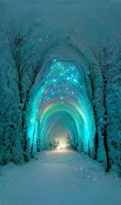 a tunnel that has lights on it in the snow with trees and snow covered ground