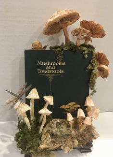 mushrooms and toadstools on display in front of a book