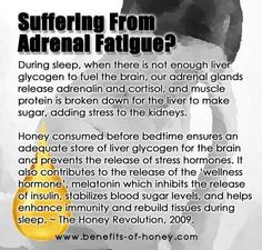 Honey at Night Chronic Fatigue Remedies, Adrenal Fatigue Symptoms, Chronic Fatigue Symptoms, Adrenal Health, Adrenal Fatigue, Thyroid Health, Health Guide, Natural Health Remedies, Chronic Fatigue