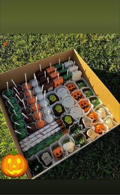 a box filled with lots of cupcakes on top of a green grass covered field